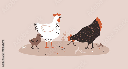 The brown hen is holding the worm and the white hen and the chick are pecking the grains. Chicken farm. Cartoon. Cozy vector illustration.