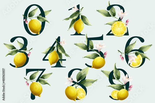 Numbers set with lemons in vector watercolor style. Illustration of green leaves, flowers, buds, and branches.