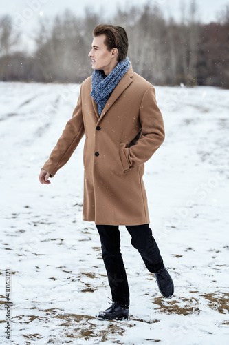 Принти на полотні walk on winter day