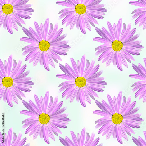 Chamomile flowers. Floral seamless texture of Daisy flower purple color on light blue abstract background geometric pattern  vector.