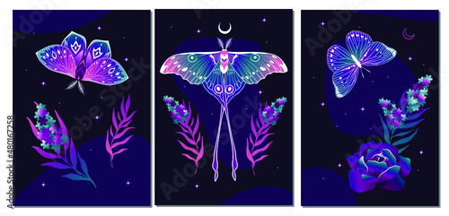 Esoteric wall art vector set. Artistic drawing of the foliage line with an abstract shape and butterflies. Plant art design for printing, cover art, wallpaper.