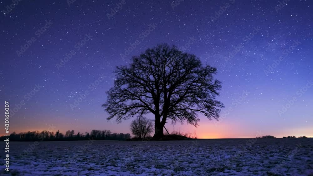 Starry constellations motion and rotating stars on winter night sky, universe outer space field 4k, slider timelapse movie Starry constellations motion and rotating stars on winter night sky, universe outer space field 4k, slider timelapse movie