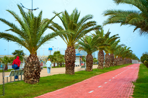 Cycle path across the entire embankment by the sea. The resort town of Batumi