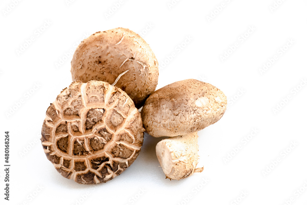 Three mushrooms are placed on a white background. Three mushrooms are placed on a white background.