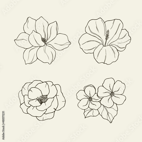 Set of hand drawn magnolia, hibiscus, camellia, jasmine