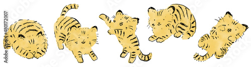 虎猫セット