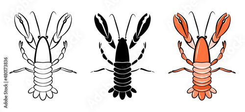 Shrimp isolated vector icon. Seafood cartoon outline sketch set. Package logo design element. Lobster langouste gourmet. Red shellfish print. Simple emblem template. Graphic ocean crustacean symbol.