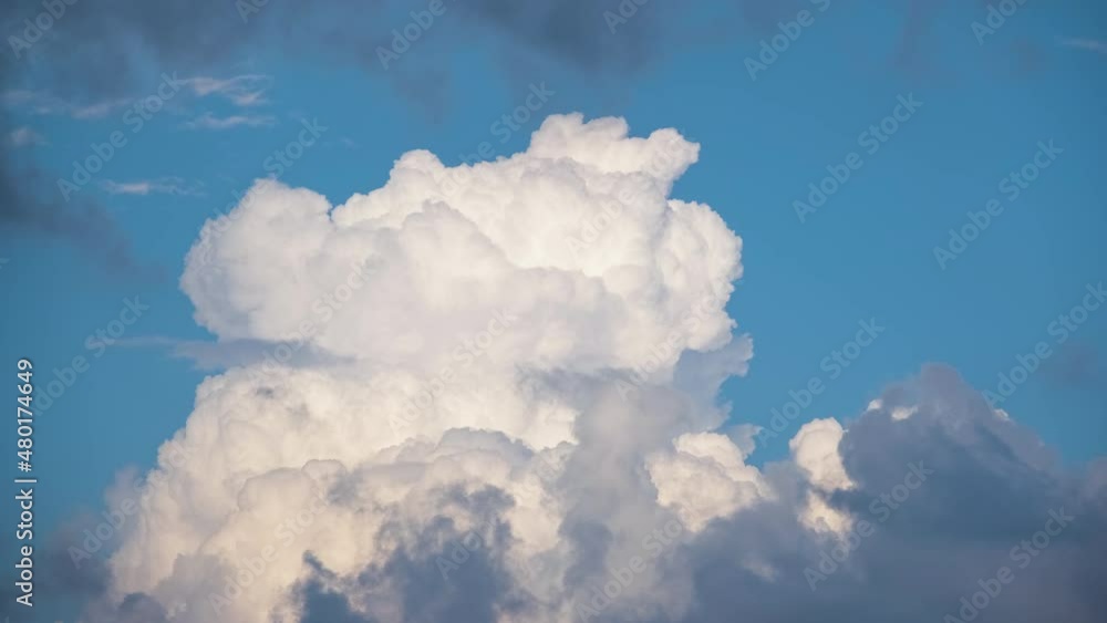 Timelapse of white puffy cumulus clouds forming on summer blue sky. Moving and changing cloudscape weather Timelapse of white puffy cumulus clouds forming on summer blue sky. Moving and changing cloudscape weather