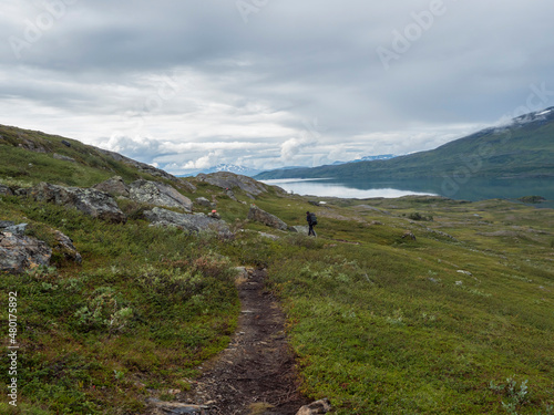 Man hiker with backpack walking at footpath in Lapland landscape at Virihaure lake with green mountains, birch trees and boulders. Sweden summer wild nature, Padjelantaleden hiking trail. photo