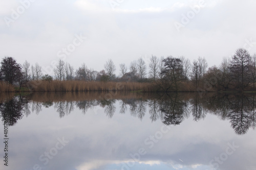 Idyllischer See im Winter, Wasserreflexionen, Schilf