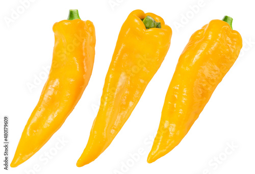 yellow palermo pepper isolated on white