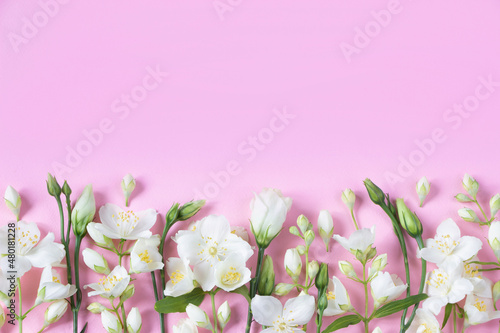 Fototapeta Naklejka Na Ścianę i Meble -  Spring board with space for text- white spring flowers jasmine  on pink background. Template for greeting cards for Mother's day, 8 march, Valentine's day, wedding , birthday cards , sales 
