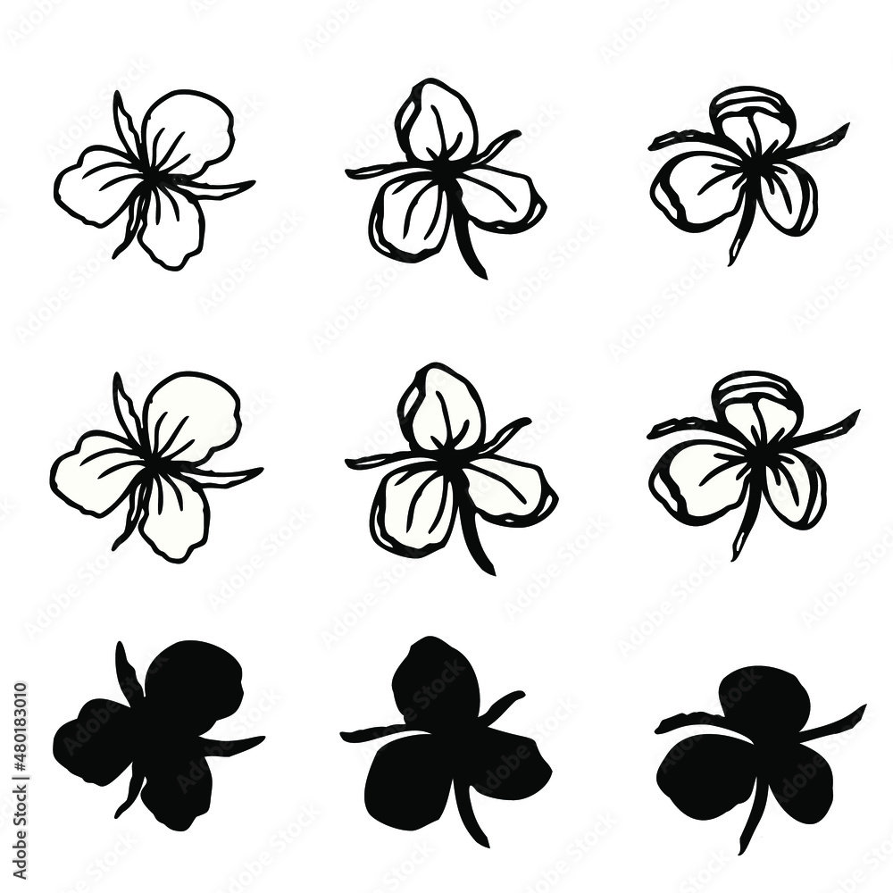 Fototapeta premium Floral ink drawn set 