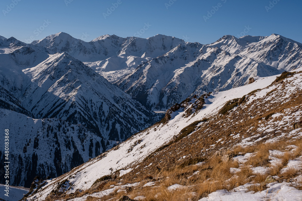 Snow-capped mountains at the beginning of the winter season with bright yellow grass in the foreground
