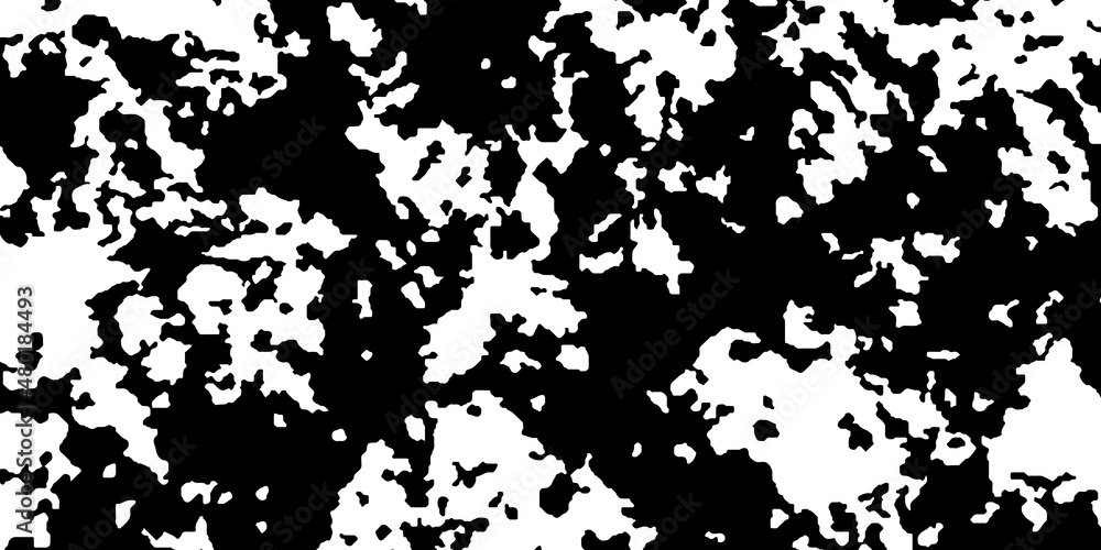 Horizontal banner with grunge texture. Monochrome. Black and white. Camouflage background. Vector illustration.