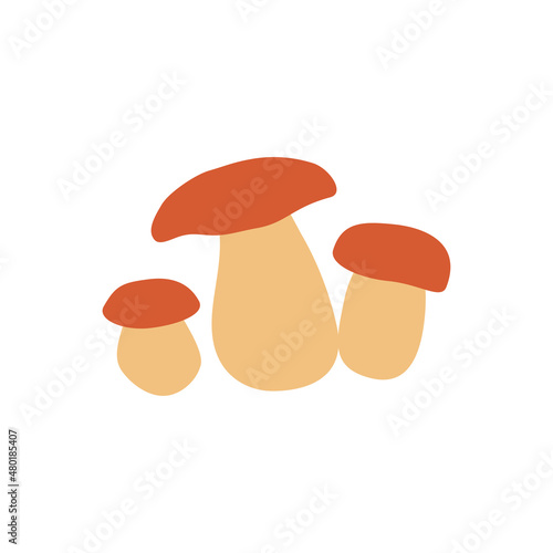 Cartoon boletus, Swedish vector traditional food, Raw fresh edible wild mushrooms isolated on white, decorative colorful symbol, drawing icon flat style for design restaurant menu, organic shop