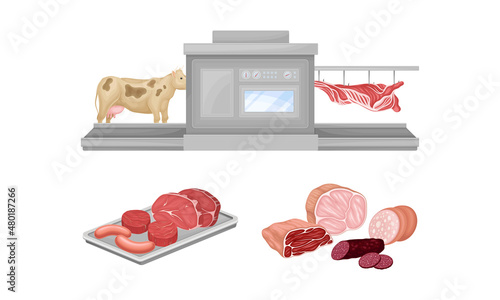 Meat production process. Slaughter procedure. Meat products processing vector illustration