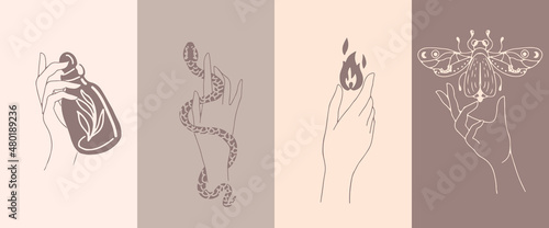 A set of female hand emblems in a minimalistic linear style. Hand gestures holding mystical symbols.