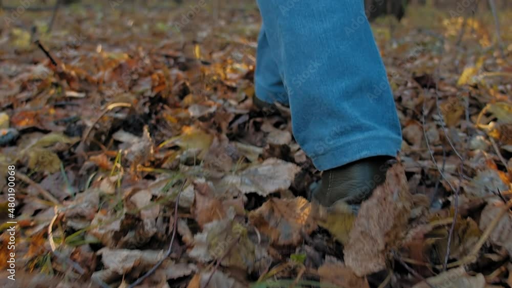 Woman wearing denim pants and leather boots walks on dry terracotta fallen leaves at bright setting sun rays close back view slow motion Woman wearing denim pants and leather boots walks on dry terracotta fallen leaves at bright setting sun rays close back view slow motion