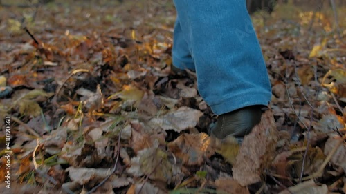 Wallpaper Mural Woman wearing denim pants and leather boots walks on dry terracotta fallen leaves at bright setting sun rays close back view slow motion Torontodigital.ca