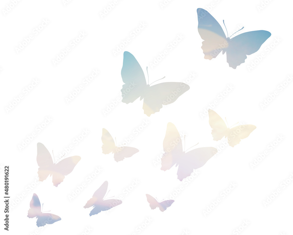 美しい蝶のシルエット 装飾イラスト 背景 Stock Illustration Adobe Stock
