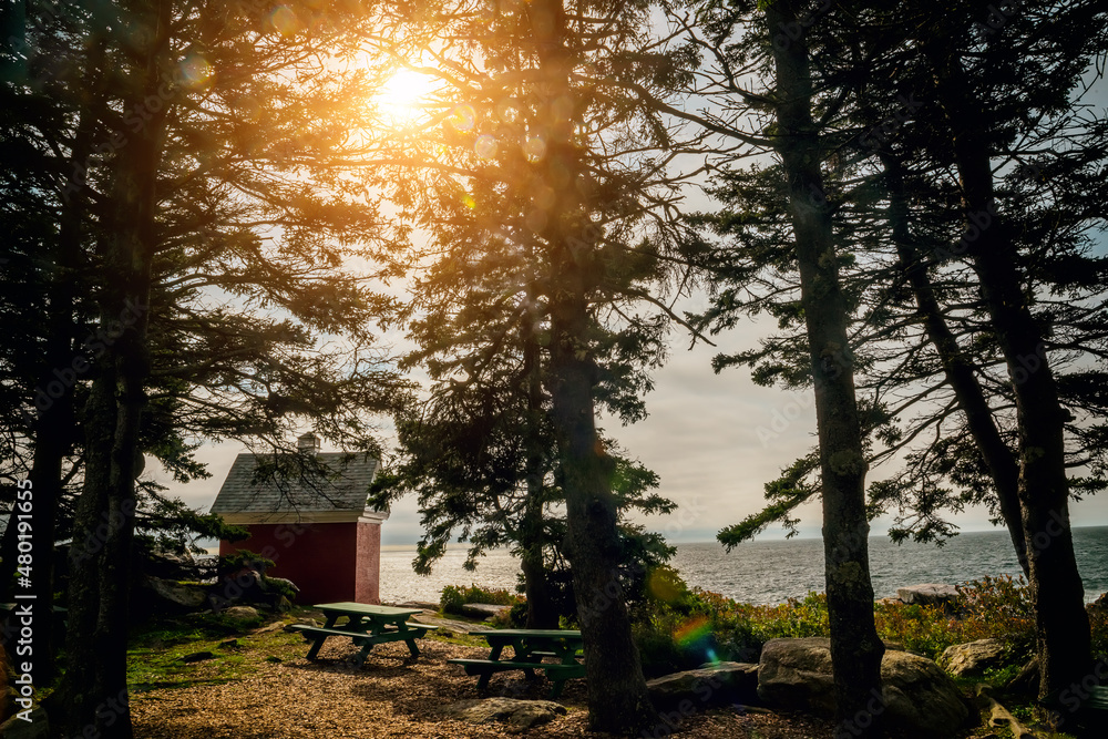 Rocky wild coast of the Atlantic Ocean. USA. Maine. A small lighthouse house among the trees and a resting place with benches.