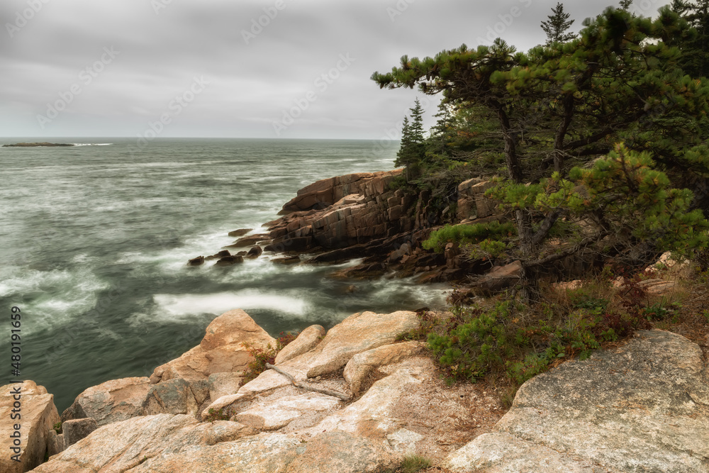 Rocky coastline and pine trees on the cliff on the Atlantic Ocean. Acadia National Park. USA. Maine. Long exposure
Rocky coastline and pine trees on the cliff on the Atlantic Ocean. Acadia National Park. USA. Maine. Long exposure