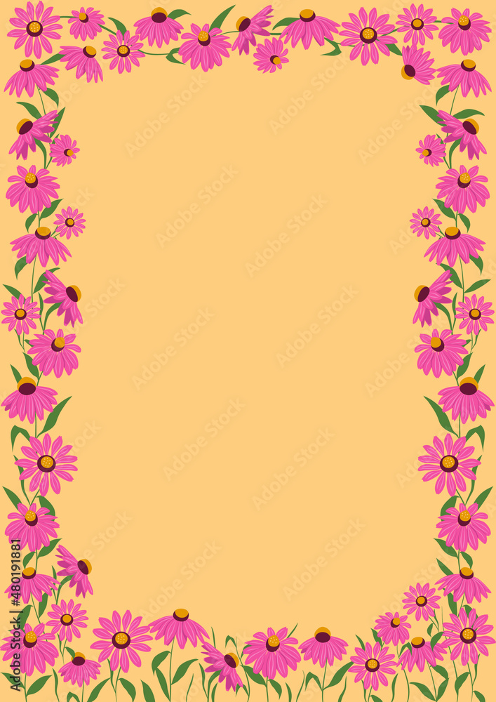 Rectangular frame with herbs and echinacea flowers. Floral botanical background. Template for greeting card, invitation or wedding postcard. Vector illustration in flat style