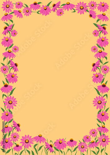 Rectangular frame with herbs and echinacea flowers. Floral botanical background. Template for greeting card, invitation or wedding postcard. Vector illustration in flat style © Маруся Палкина