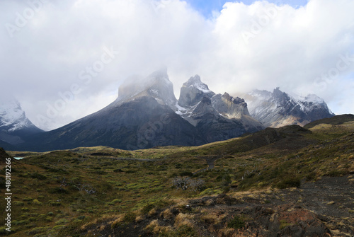 Patagonian landscape with Cuernos del Paine in the background  Chile