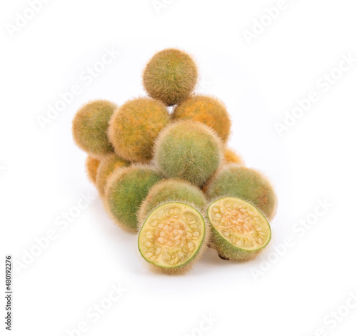 Solanum stramonifolium isolated on white background