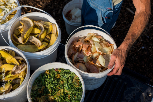 Food waste from local restaurants being repurposed as chicken feed for an urban farm