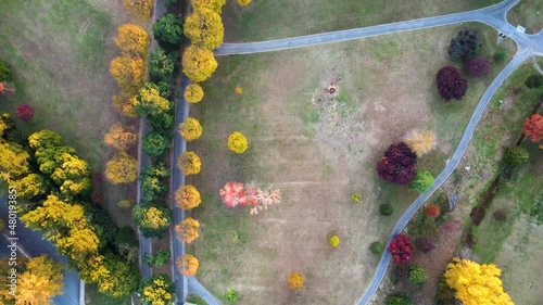 Fall Colors at Maymont Park in Richmond, Virginia | Aerial Top Down Flyover | Fall 2021 photo