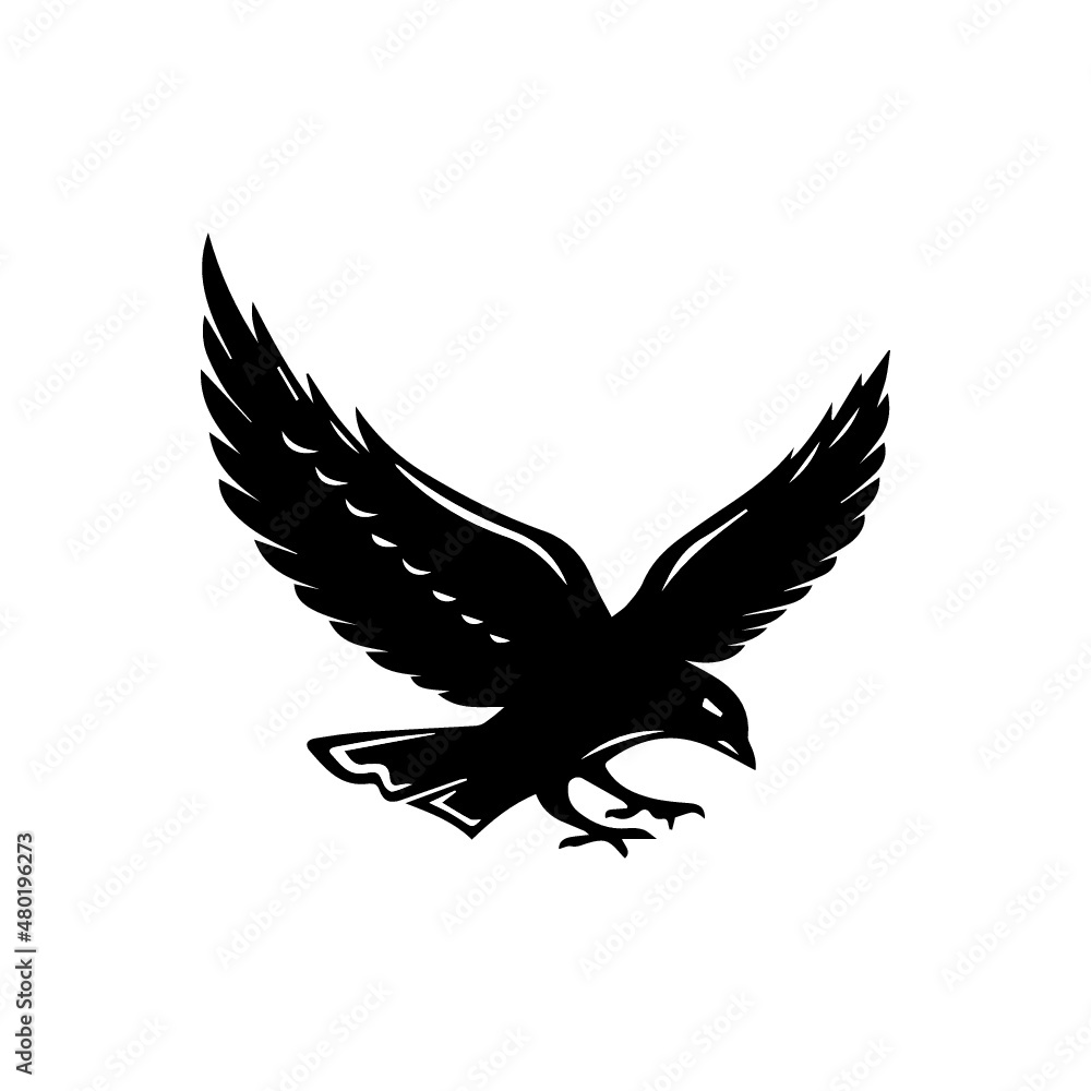 Fototapeta premium eagle with wings