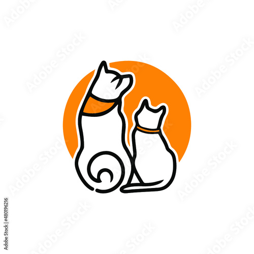 cat and dog