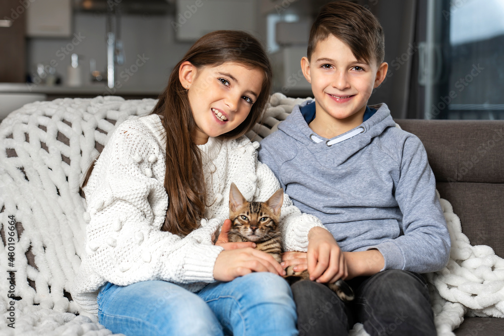 Bengal cat in the living room on the couch with childrens