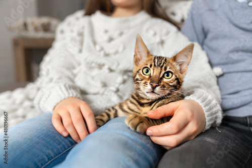 Bengal cat in the living room on the couch with children