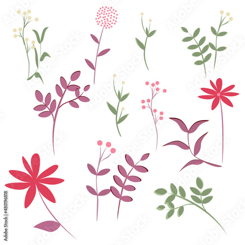 set plants