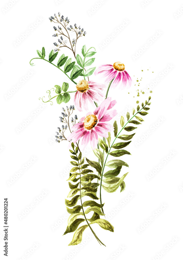 Obraz premium Wild grasses and wildflowers . Color Summer rural composition, bouquet, decor concept. Hand drawn watercolor illustration isolated on white background