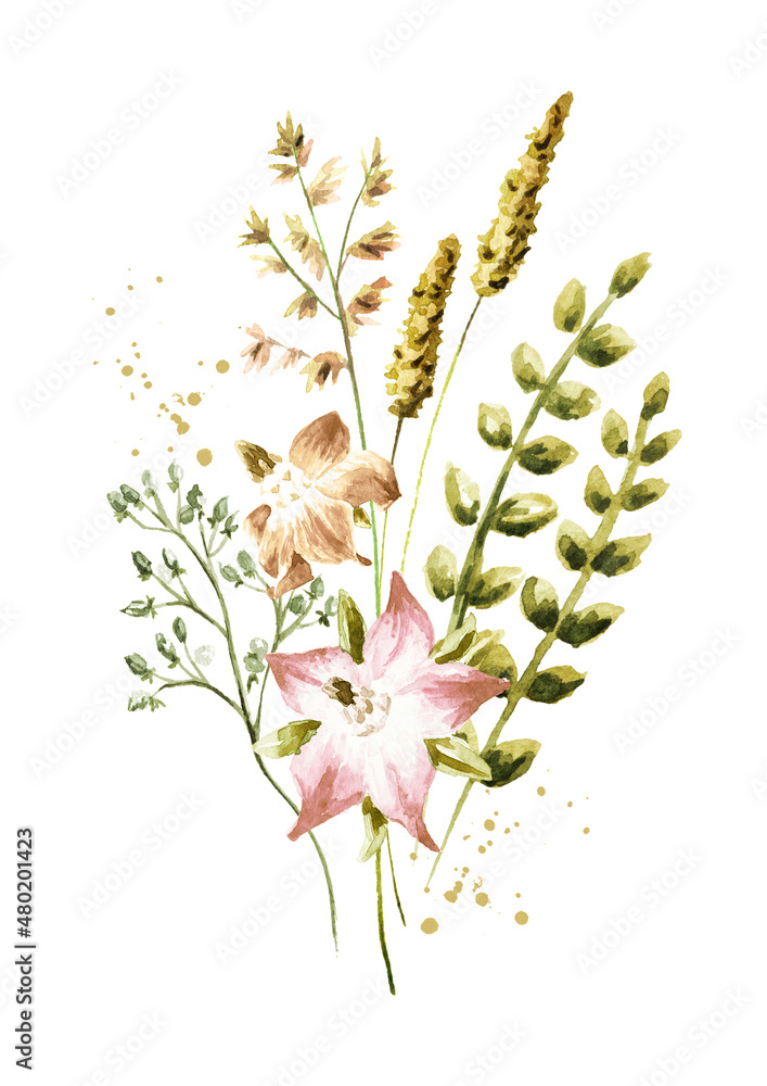 Wild  grasses and  wildflowers  . Color Summer rural composition, bouquet, decor concept. Hand drawn watercolor illustration isolated on white background