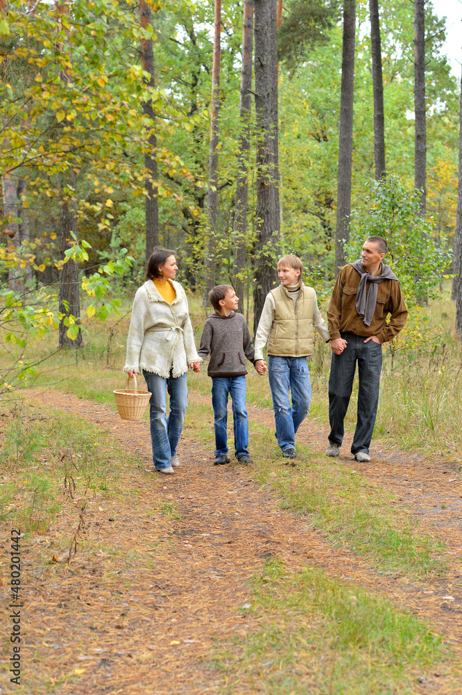 Fototapeta premium Portrait of family of four in park