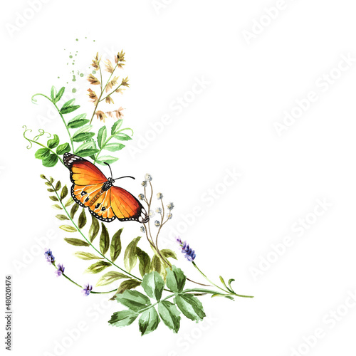 Wild  grasses and  wildflowers  . Color Summer rural composition  bouquet  decor concept. Hand drawn watercolor illustration isolated on white background