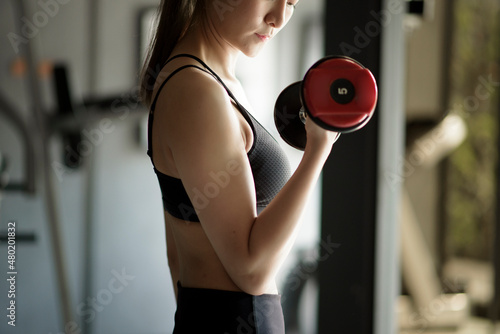 Beautiful young woman in sportswear exercising with dumbbells at the gym, concept of healthy lifestyle, sports, training, wellness, and sport