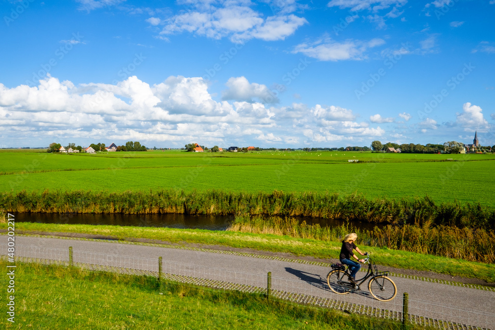 Fototapeta premium Woman cycling through Dutch landscape