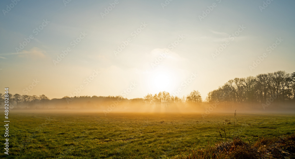 Landscape with rimed meadow on a foggy winter day
