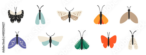 Collection of cartoon butterflies and moths isolated on white background. Set of tropical flying insects with colorful wings. Collection of decorative design elements. Flat vector illustration.