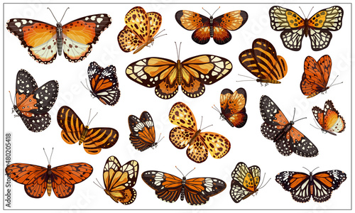 A large set of beautiful butterflies in orange sand tones. Cartoon vector graphics.