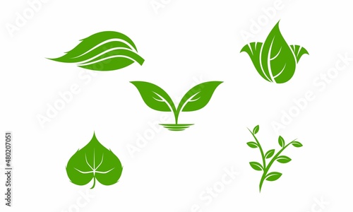 Nature plant leaf set illustration vector logo