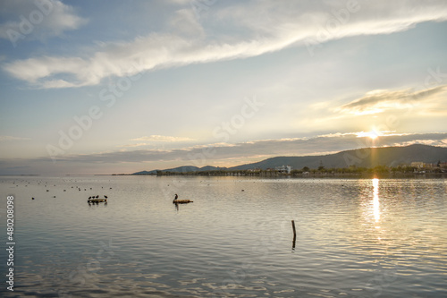 The lake of birds in Aetoliko, Greece photo