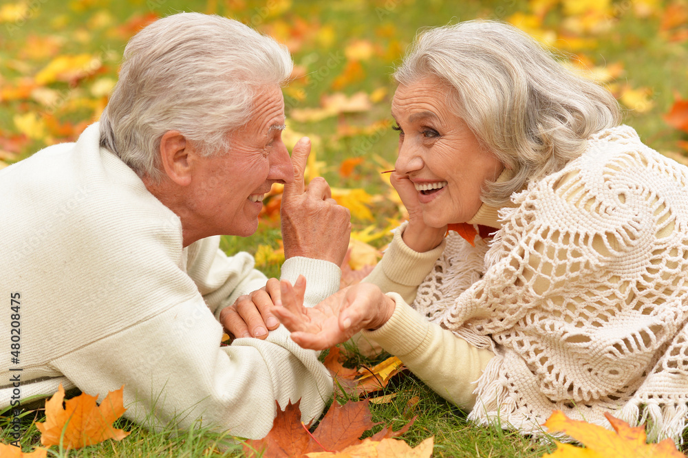 beautiful senior couple relaxing in the park beautiful senior couple relaxing in the park
